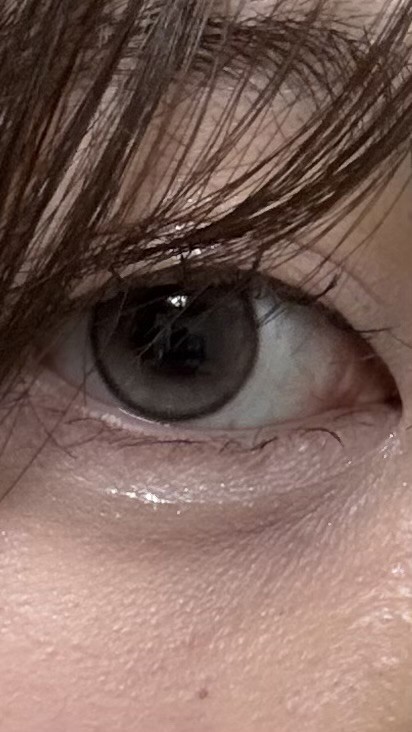 投稿写真