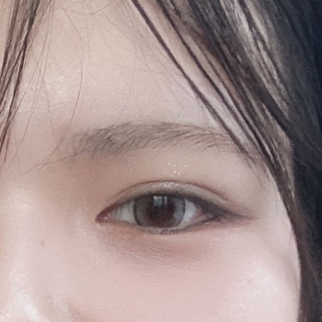 投稿写真