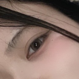 投稿写真