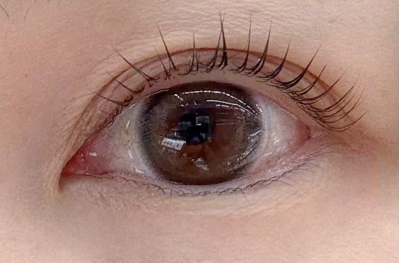 投稿写真