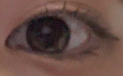 投稿写真