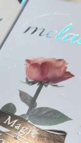 投稿写真