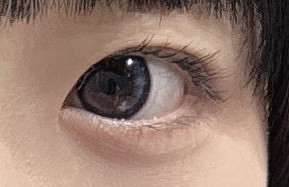 投稿写真