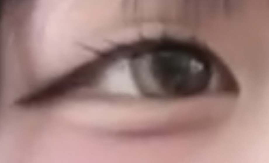 投稿写真