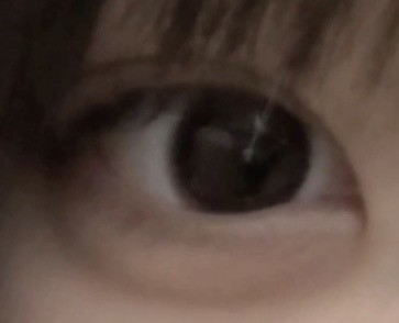 投稿写真
