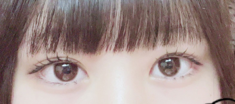 投稿写真