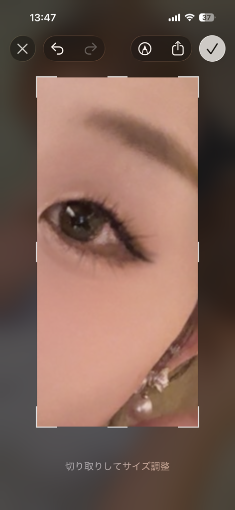 投稿写真