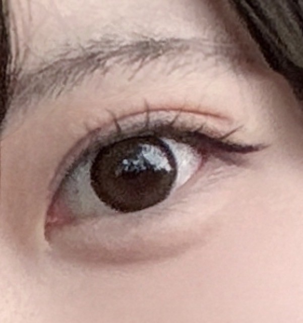 投稿写真