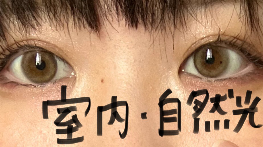 投稿写真