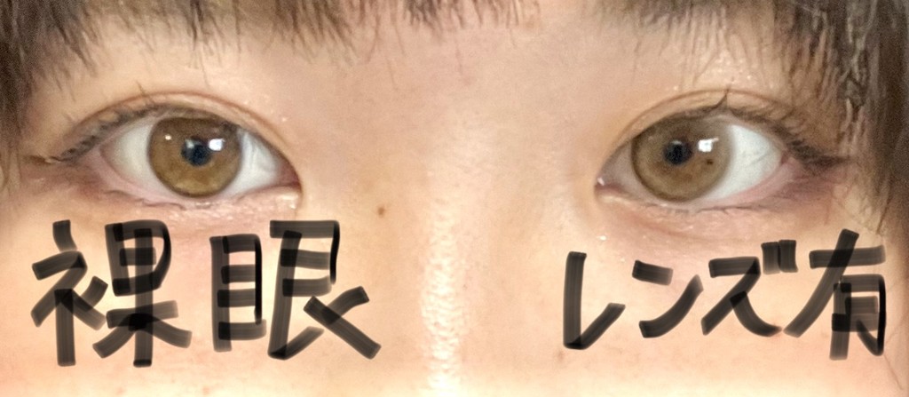 投稿写真