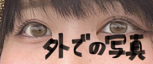 投稿写真