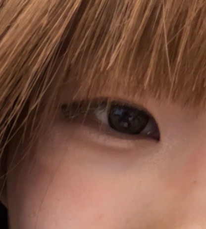 投稿写真