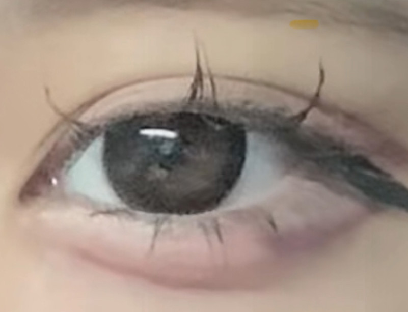 投稿写真