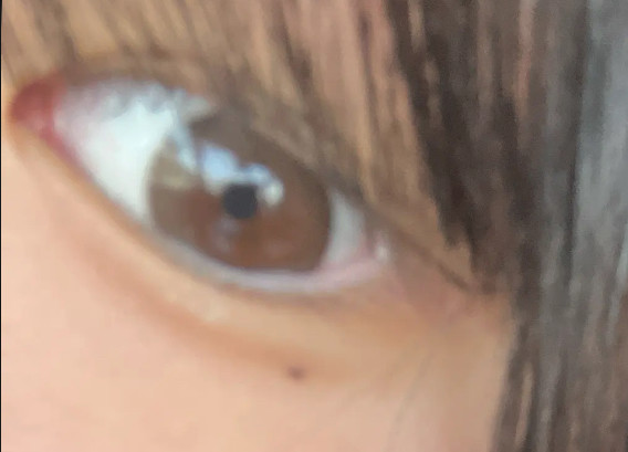 投稿写真