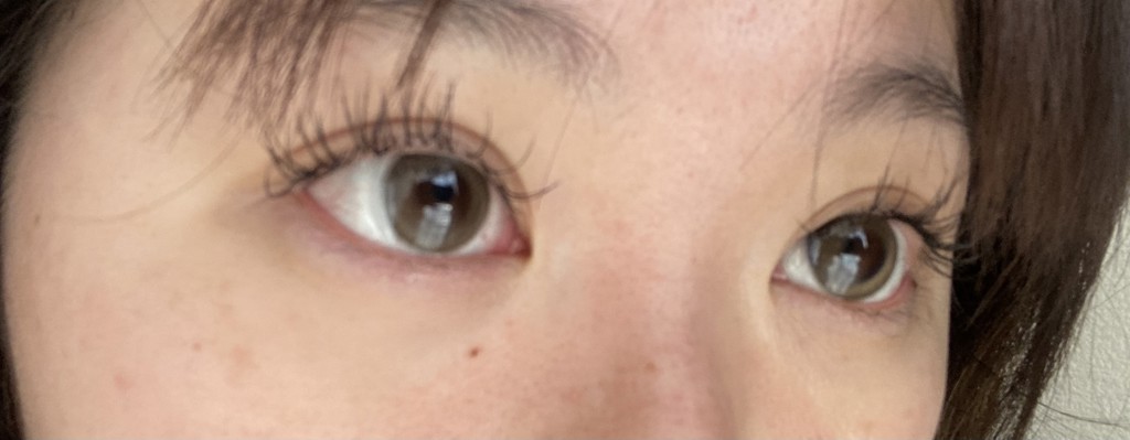 投稿写真