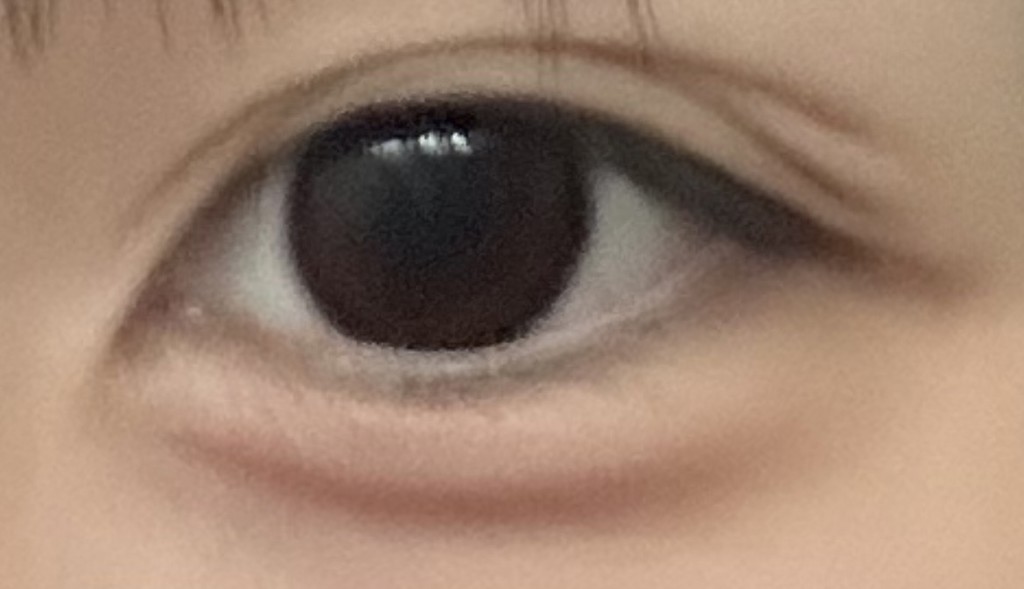 投稿写真