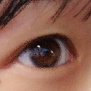投稿写真