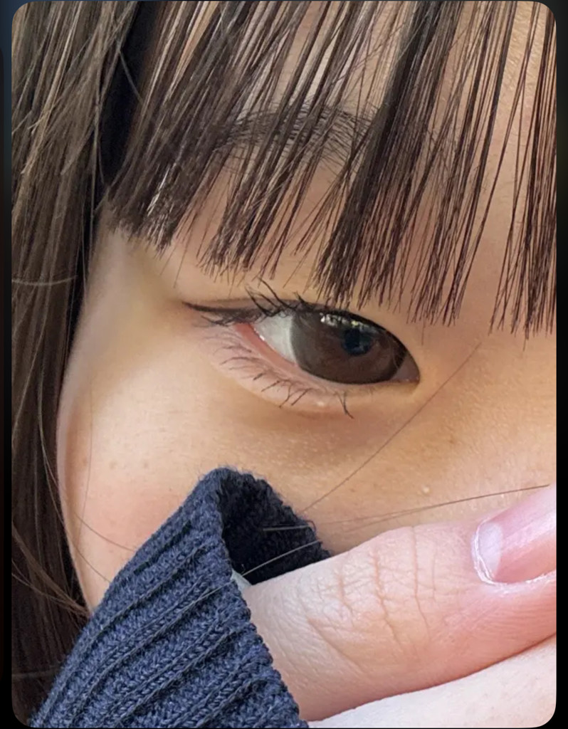 投稿写真