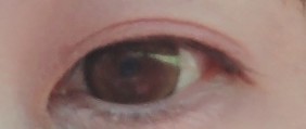 投稿写真