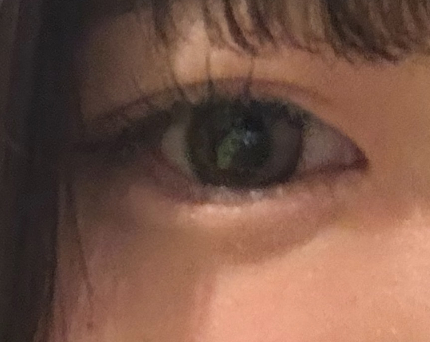 投稿写真