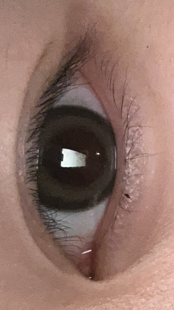投稿写真