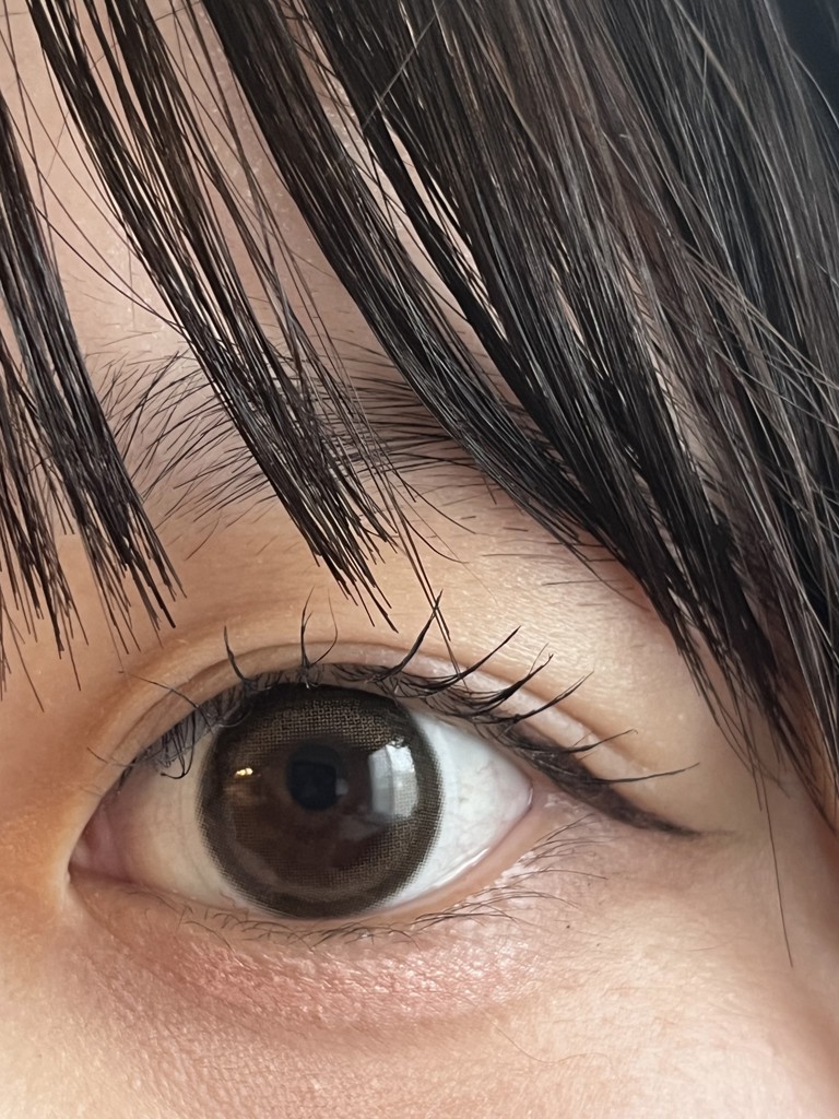 投稿写真