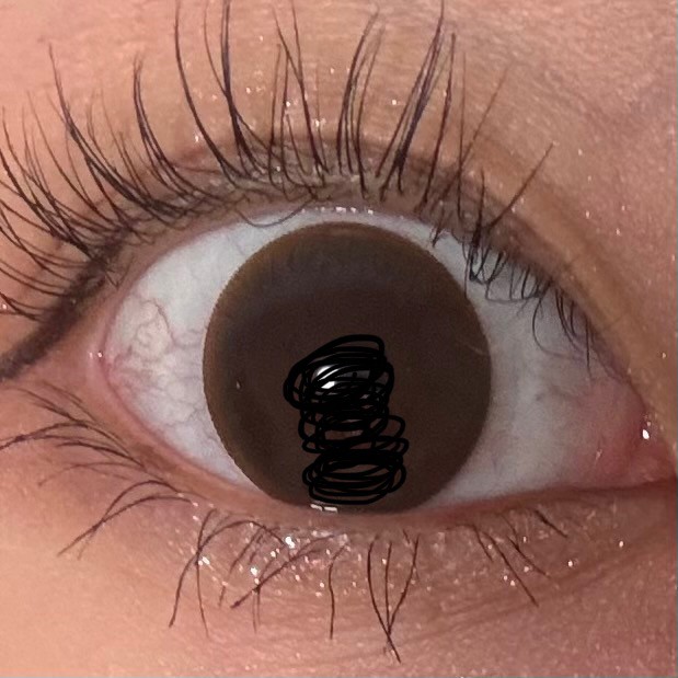 ユーザー写真