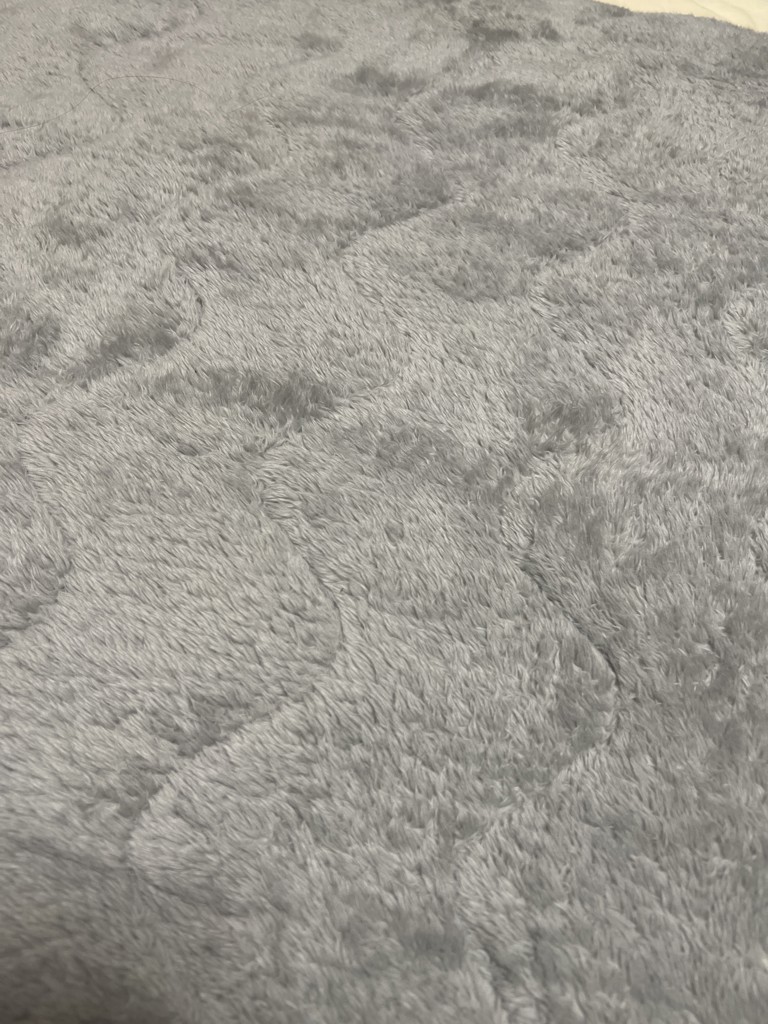 投稿写真