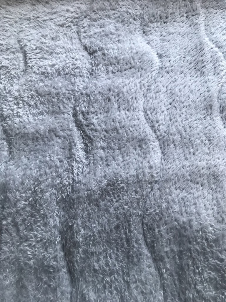 投稿写真