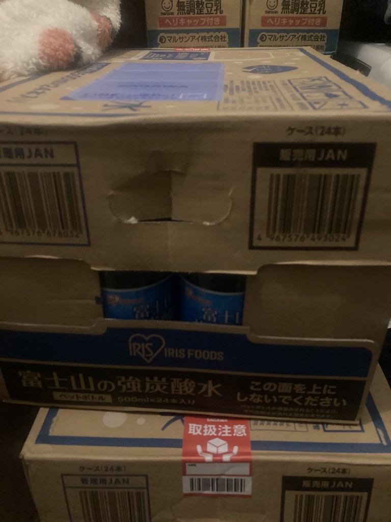 投稿写真