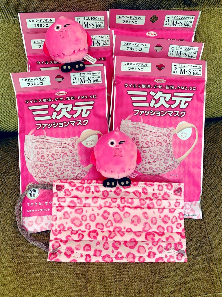 投稿写真