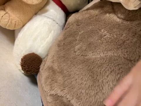 投稿写真