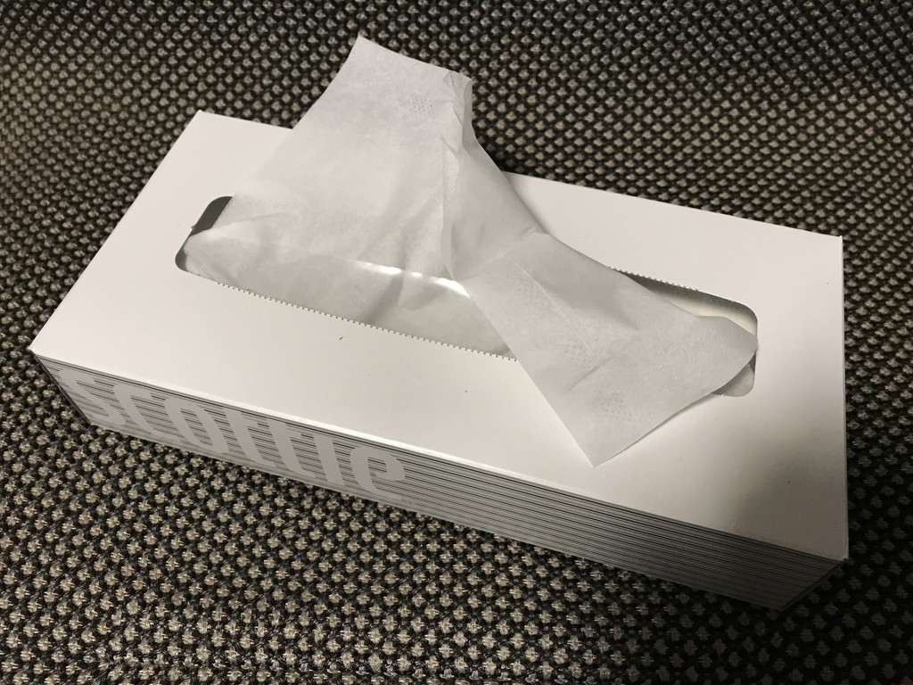 投稿写真