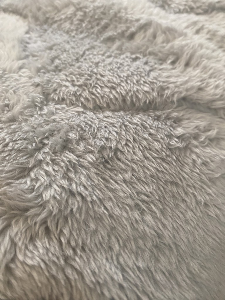 ユーザー写真