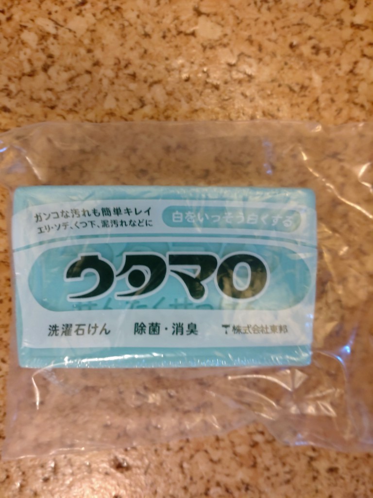 投稿写真