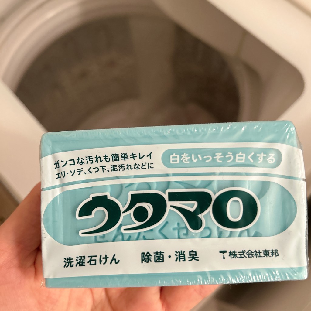 投稿写真