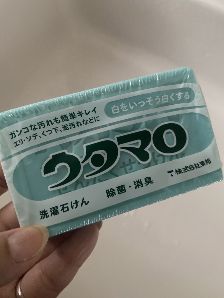 投稿写真
