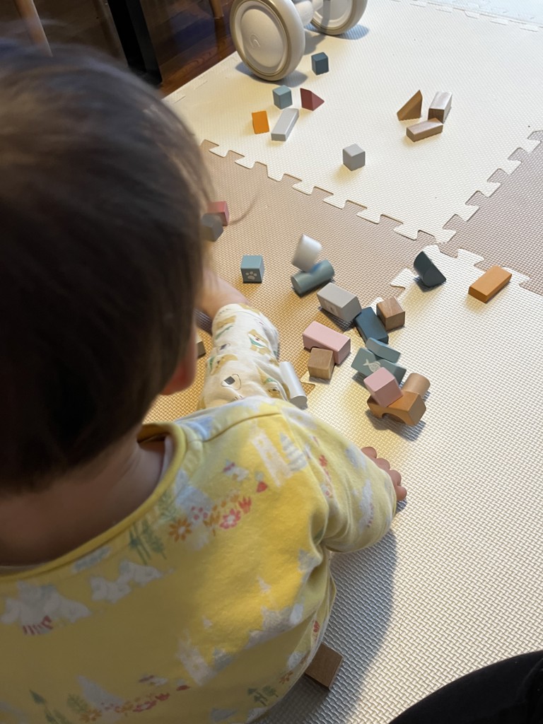 つみきセット: おもちゃ[DADWAY ダッドウェイオンラインストア]