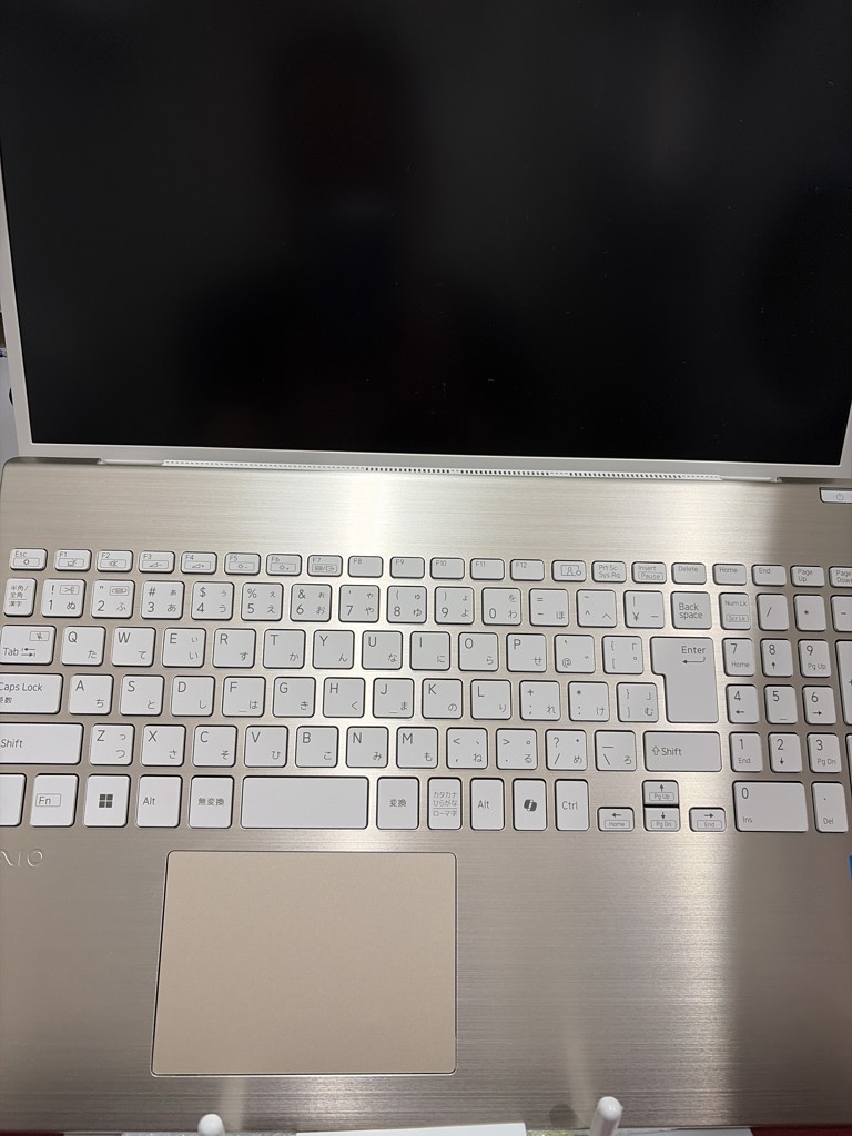 投稿写真