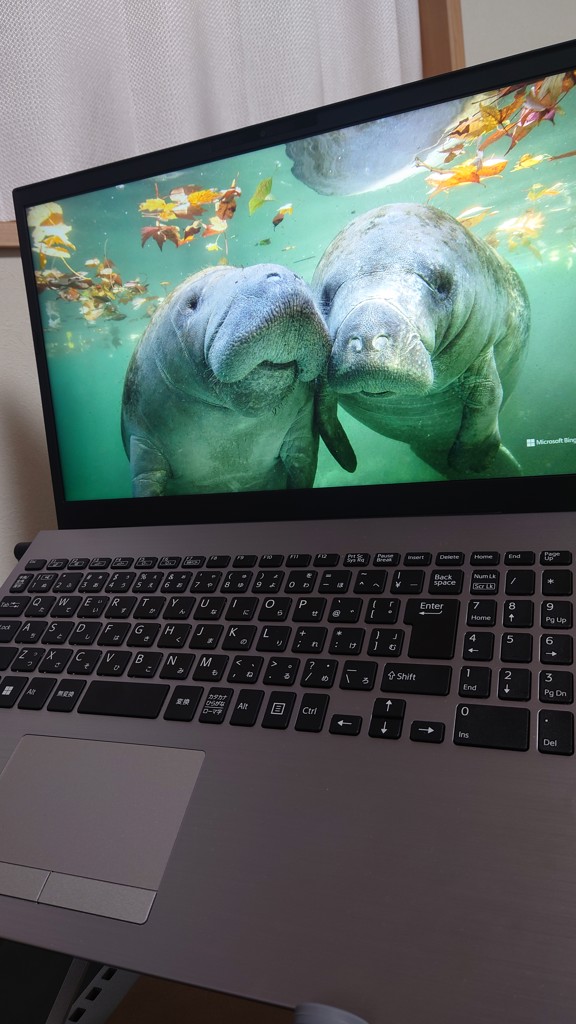 ユーザー写真