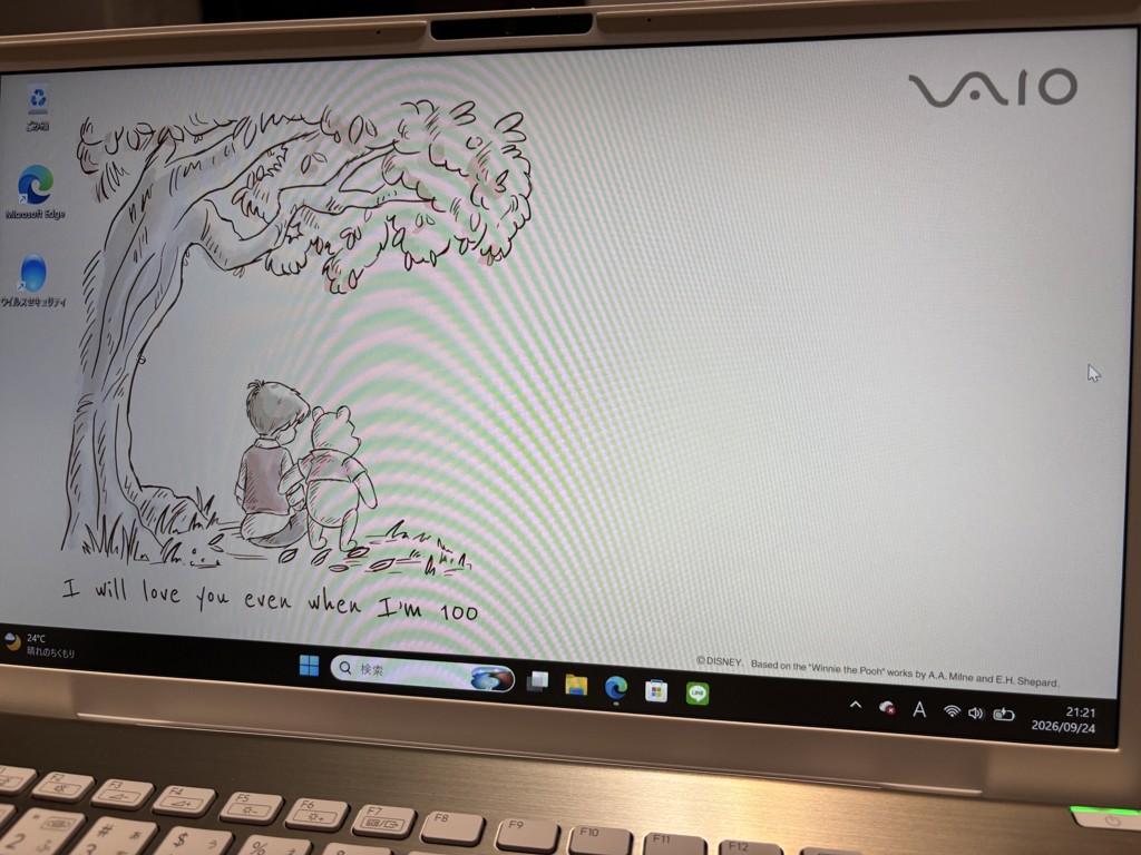 VAIO F14 (ディズニーモデル)｜VAIO公式 オンラインストア｜VAIO STORE