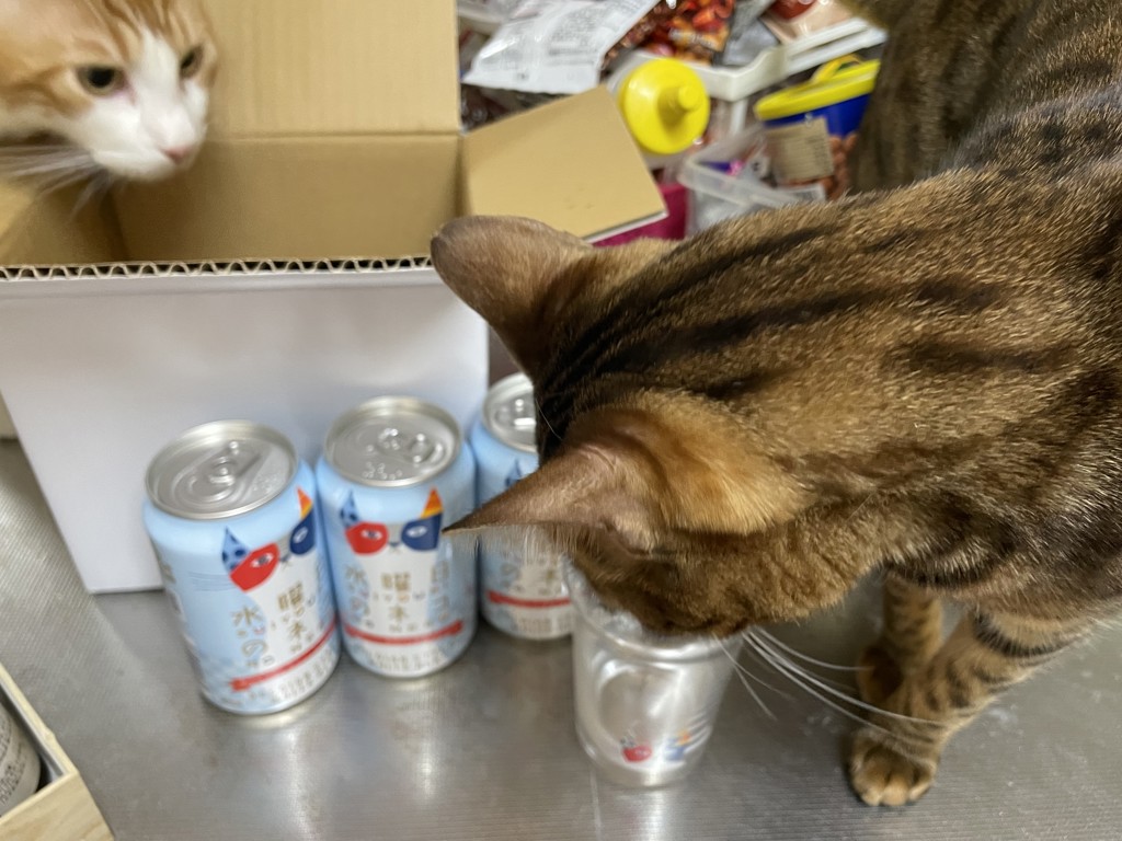 ユーザー写真