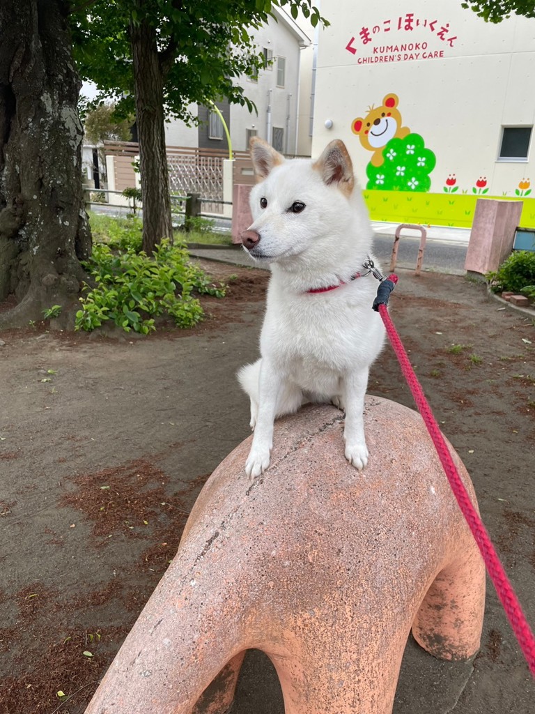 投稿写真