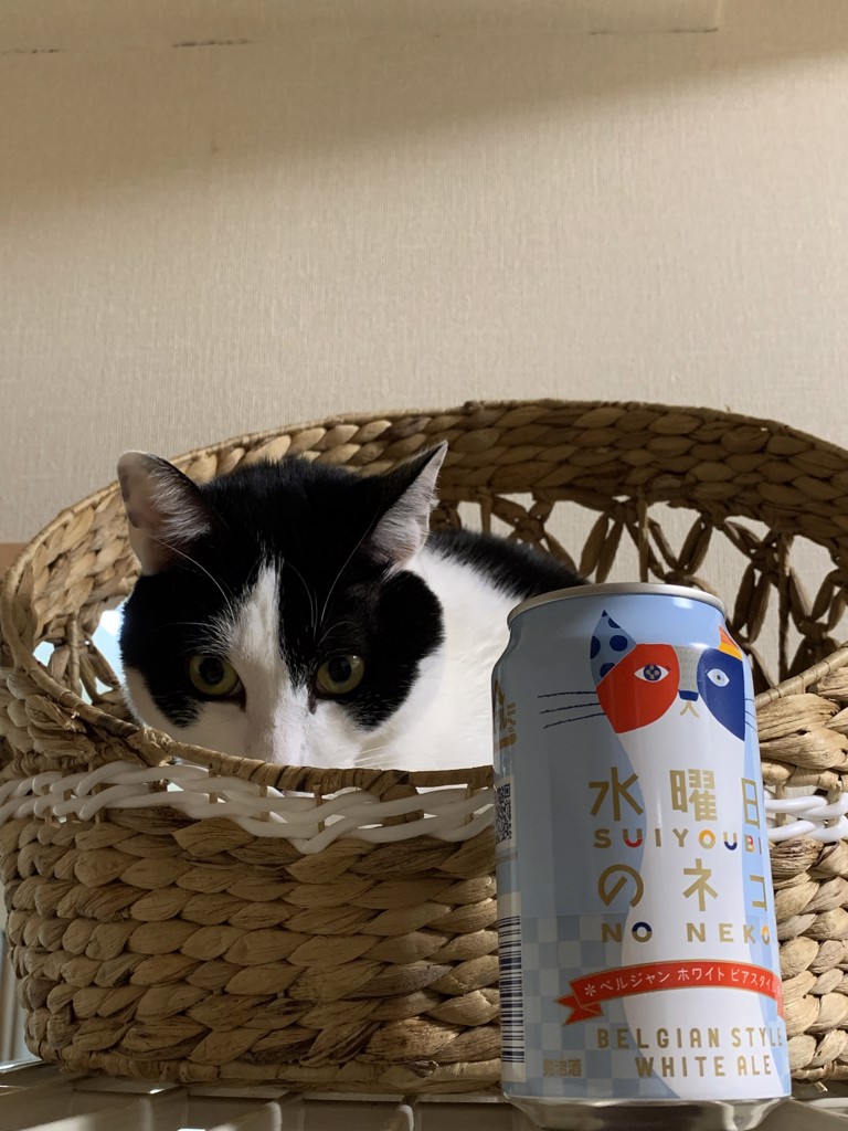 投稿写真