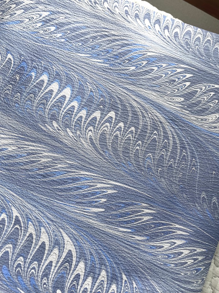 投稿写真