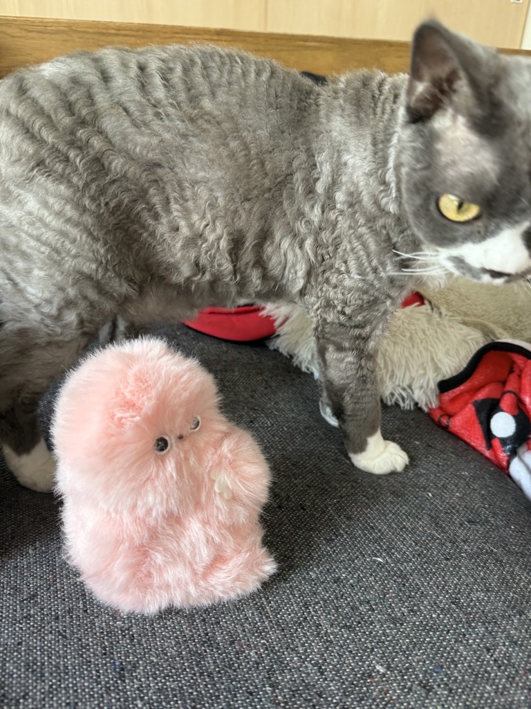 mirumi_Pink_ちら見するチャームロボット「みるみ」ピンク -の商品詳細