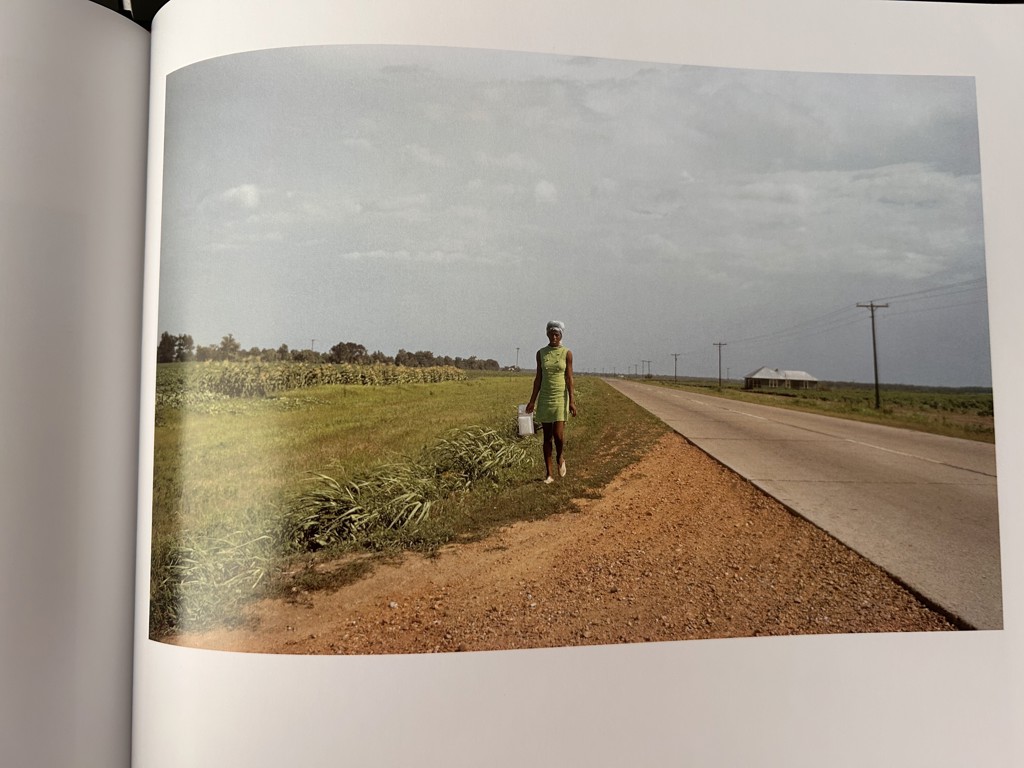 William Eggleston's Guide by William Eggleston（ウィリアム