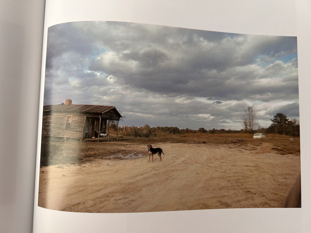William Eggleston's Guide by William Eggleston（ウィリアム