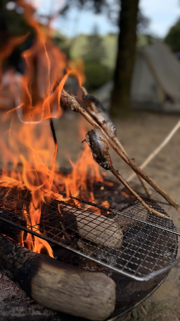 ファイアーディスクマックス用焼き網の通販 | アウトドア用品
