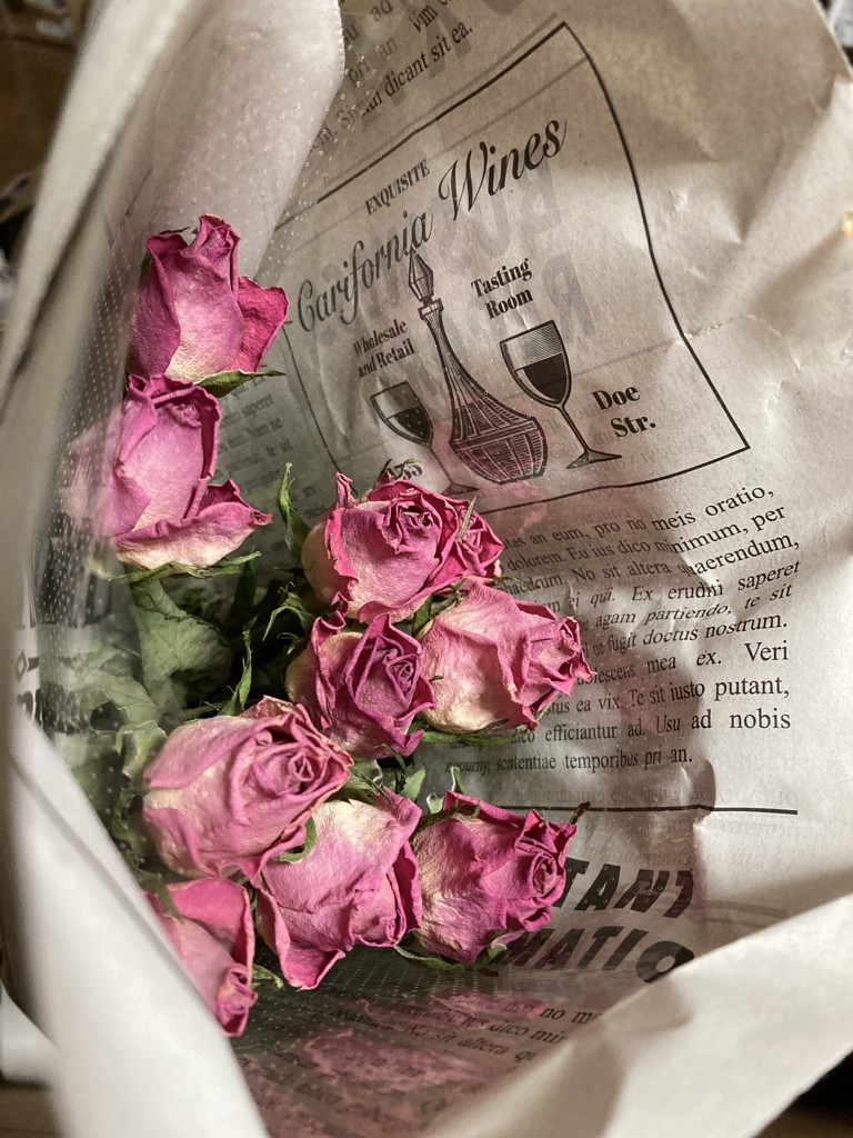 ドライ】バラ エースピンク【50cm】｜Flower Smith Market（フラワー